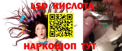 индика Аргун