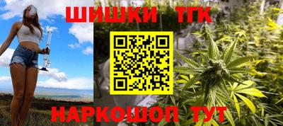 индика Аргун